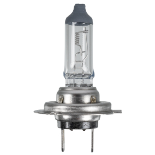 GLOEILAMP   24V